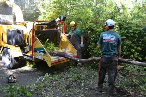 tree services Fuller Acres